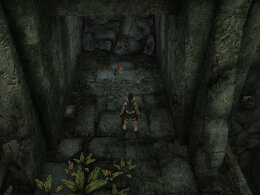 Tomb Raider Underworld Screenshot Komplettlösung