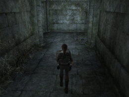 Tomb Raider Underworld Screenshot Komplettlösung