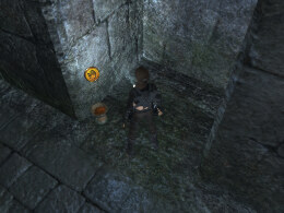 Tomb Raider Underworld Screenshot Komplettlösung