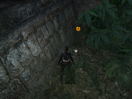 Tomb Raider Underworld Screenshot Komplettlösung